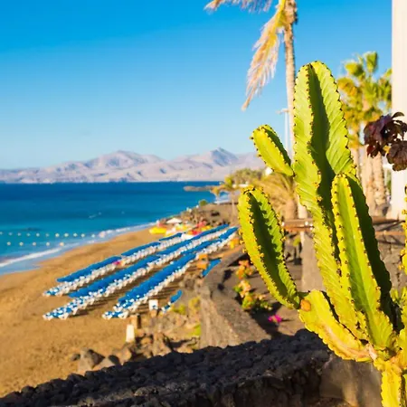 Apartment Jardines 1 Puerto del Carmen (Lanzarote)